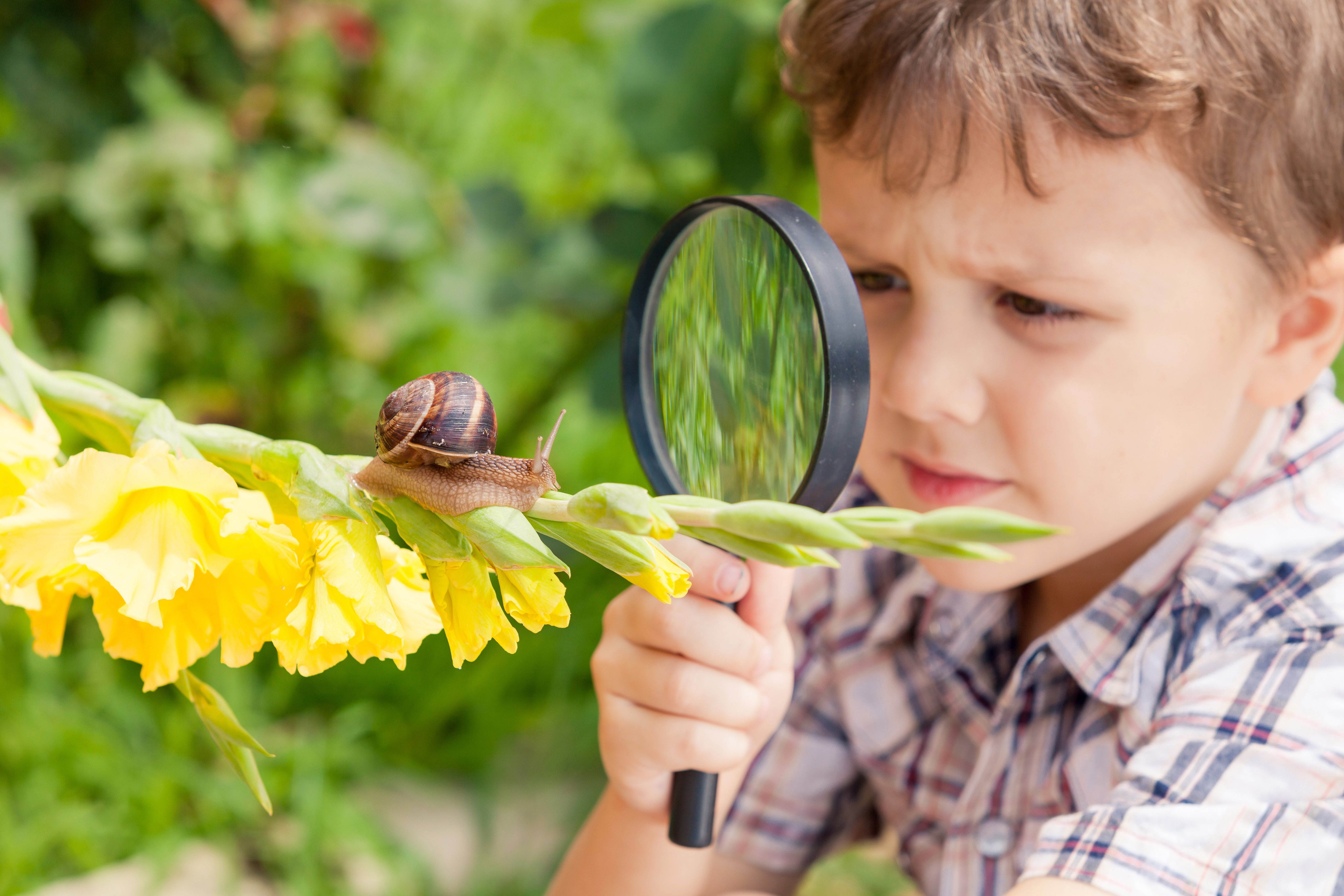 Наблюдать за бабочкой. Дети и природа. Наблюдение детей в природе. Дети изучают природу. Ддетти наблюдают за природой.