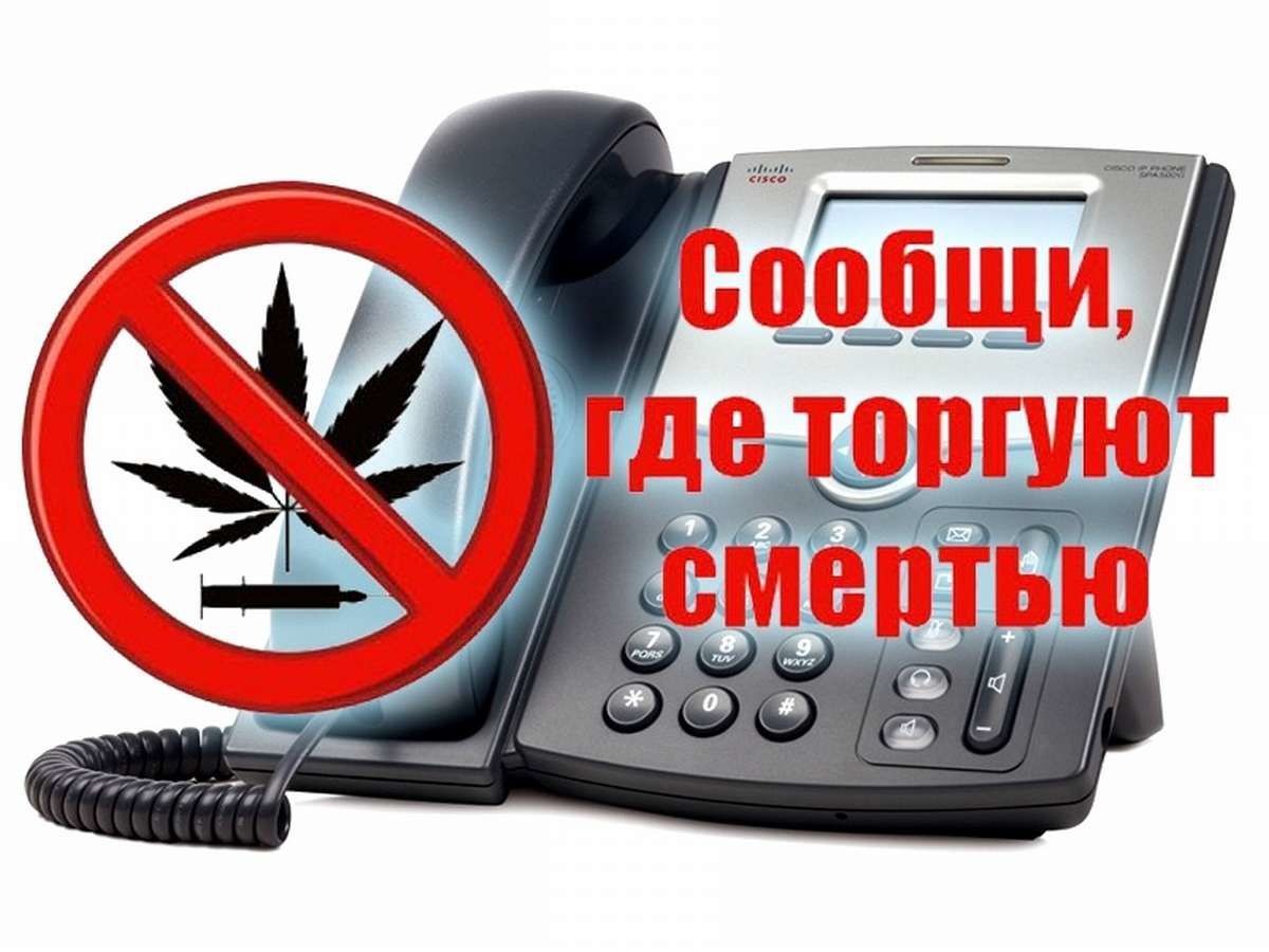 Сообщи где торгуют смертью картинки