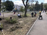 В Светлом продолжают приводить в порядок общественные территории