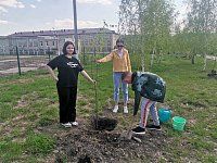 В рамках акции «Сад Памяти» старшеклассники высадили молодые берёзы