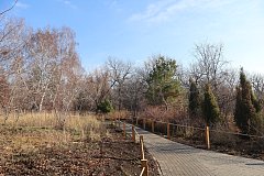 «СВ» побывали в трёх странах на двух континентах! И всё это – в центре Саратова!