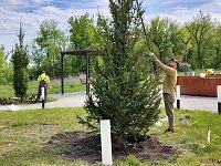 В Светлом продолжают благоустраивать территории