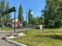 Гуляем с питомцами правильно