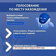 Всё о выборах Президента России можно узнать на "Госуслугах"