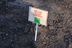 «СВ» побывали в трёх странах на двух континентах! И всё это – в центре Саратова!