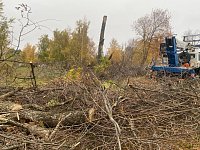 На общественных пространствах посёлка приводят в порядок зелёные зоны