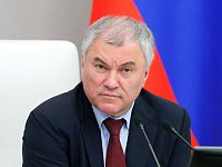 Вячеслав Володин перечислил важные социально значимые законы сессии