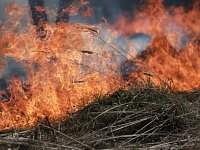 В Саратовской области установлен особый противопожарный режим