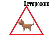 В Саратовской области могут появиться новые дорожные знаки
