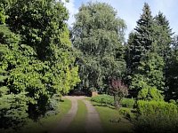 Вячеслав Володин обсудил с сотрудниками СГУ развитие Ботанического сада в Саратове
