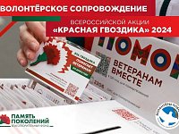 В апреле стартует набор волонтеров Всероссийской акции «Красная гвоздика»