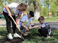 Светлая память поколений: в Светлом высадили «Сад памяти»