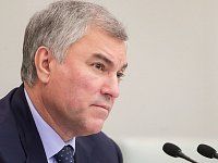 Вячеслав Володин ответил на требование ЕСПЧ