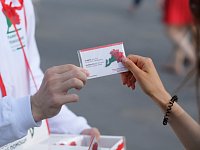 Светловцев приглашают принять участие в проведении акции «Красная гвоздика»