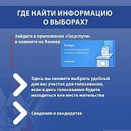 Всё о выборах Президента России можно узнать на "Госуслугах"