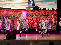 День городка: выставки, концерты творческих коллективов, шахматный турнир и весёлые старты для детей