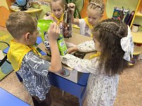 Они живут в приюте. Давайте им поможем