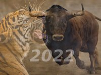 Год какого животного наступит в 2022-м и как правильно к нему подготовиться