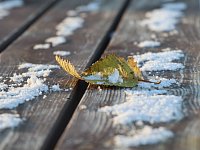 В марте жителей региона ожидает три выходных дня подряд