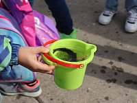 Команда «Водорослям крышка!» выпустит в Волгу около 30 тысяч мальков рыб