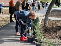 Акцент – на озеленении: в рамках месячника по благоустройству в парке по улице Гагарина высаживают деревья