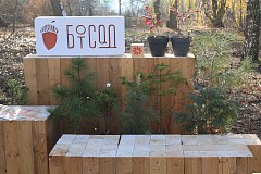 «СВ» побывали в трёх странах на двух континентах! И всё это – в центре Саратова!