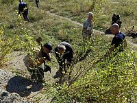 В Светлом продолжают приводить в порядок общественные территории