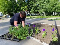 В Светлом продолжается озеленение территорий