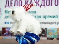 Главную экоёлку России открыли в Московском зоопарке 